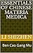Essentials of Chinese Mater...