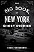 The Big Book of New York Ghost Stories by Cheri Farnsworth