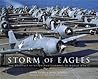 Storm of Eagles: ...