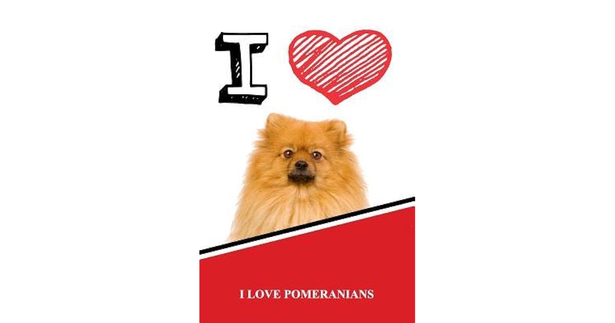 i love pomeranians