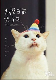 黃阿瑪的後宮生活: 怎麼可能忘了你 (Paperback)