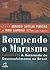 Rompendo O Marasmo: A Retomada Do Desenvolvimento No Brasil