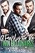 A Family for the Twin Billionaires (Big City Love, #3)