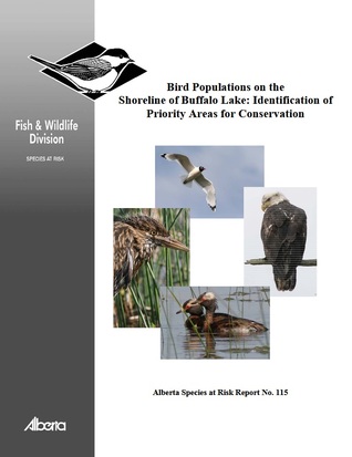 Bird Populations on the Shoreline of Buffalo Lake: Identification of Priority Areas for Conservation