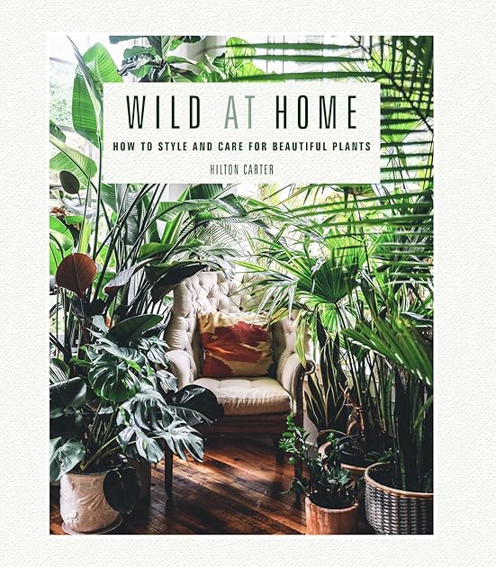Wild at Home: How to style and care for beautiful plants