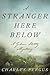 A Stranger Here Below (Gideon Stoltz #1)