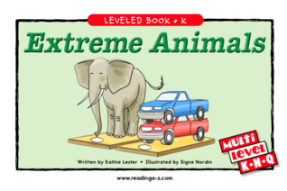 Extreme Animals