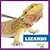 Lizards (Pet Care)