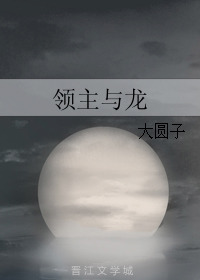 领主与龙 (Webnovel)