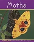 Moths