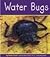 Water Bugs (Insects)