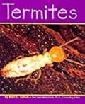 Termites