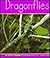 Dragonflies (Insects)