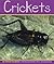 Crickets (Insects)
