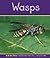 Wasps (Insects)