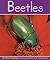 Beetles (Insects)