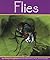 Flies (Insects)