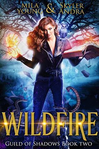 Wildfire (Guild of Shadows, #2)