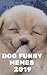 Dog Funny Memes 2019 by Pet memes