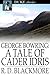 George Bowring: A Tale of Cader Idris