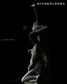 Giambologna: The ...