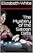 The Mystery of the Saloon G...