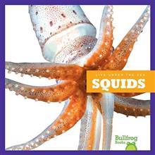 Squids (Life Under the Sea)