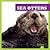Sea Otters (Life Under the Sea)