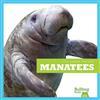 Manatees (Life Under the Sea)