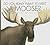 Do You Really Want to Meet a Moose? (Do You Really Want to Meet Wild Animals?)