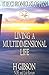 Living a Multidimensional Life - NDE and Life Review (Han Storm: The Chronicles of Han: #1 of Living a Multidimensional Life)