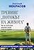 Тренинг "Потокът на живота". Как да постигнем душевен покой и все по-голямо щастие
