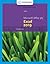 New Perspectives Microsoft Office 365 & Excel 2019 Comprehensive (MindTap Course List)