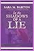 In the Shadows of a Lies (A Cornwall & Company Mystery)