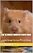 The Ultimate Hamster Photo Book by Jean Phillips