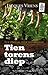 Tien torens diep (Dutch Edition)