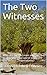 The Two Witnesses: Who are ...