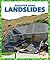 Landslides (Disaster Zone)