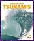 Tsunamis (Disaster Zone)