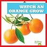 Watch an Orange Grow by Kirsten Chang