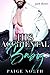 His Accidental Baby by Paige North