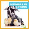 Animals in Spring (What Happens in Spring?)