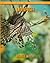 Lionfish Beautiful Pictures & Interesting Facts Children Book about Lionfish by Renee Wood