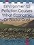 Environmental Pollution Causes What Economic or Social Cost