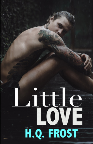 Little Love-An Immure Book