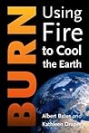Burn: Igniting a ...