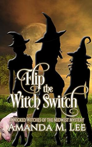 Flip the Witch Switch (Wicked Witches of the Midwest, #14)