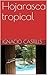 Hojarasca tropical