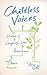 Childless Voices: Stories of Longing, Loss, Resistance and Choice