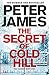 The Secret of Cold Hill (House on Cold Hill, #2)